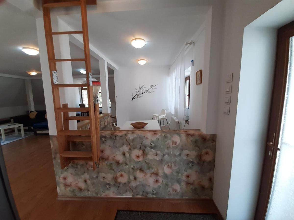 Casa Olguta Leilighet Sinaia Eksteriør bilde