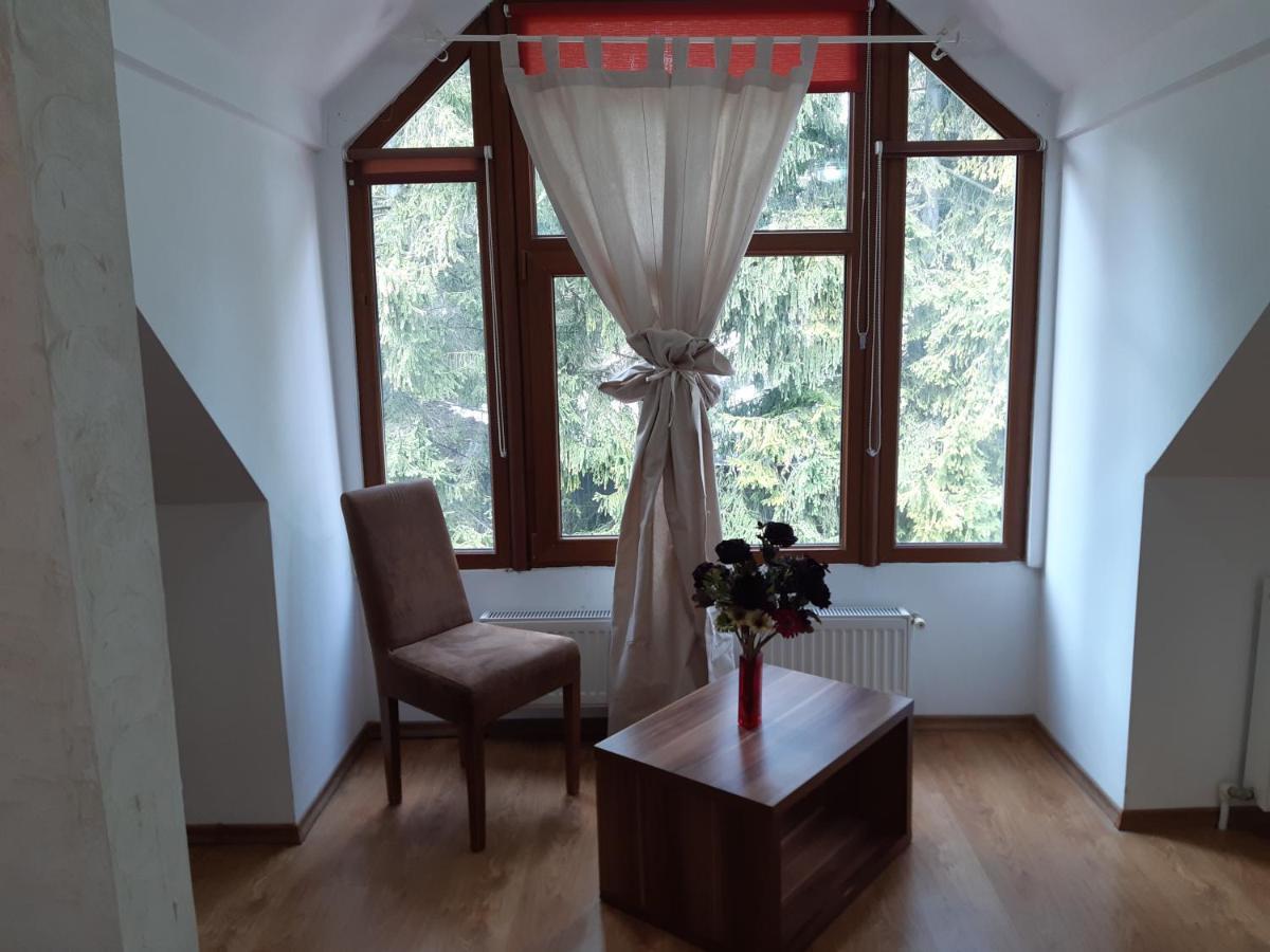 Casa Olguta Leilighet Sinaia Eksteriør bilde