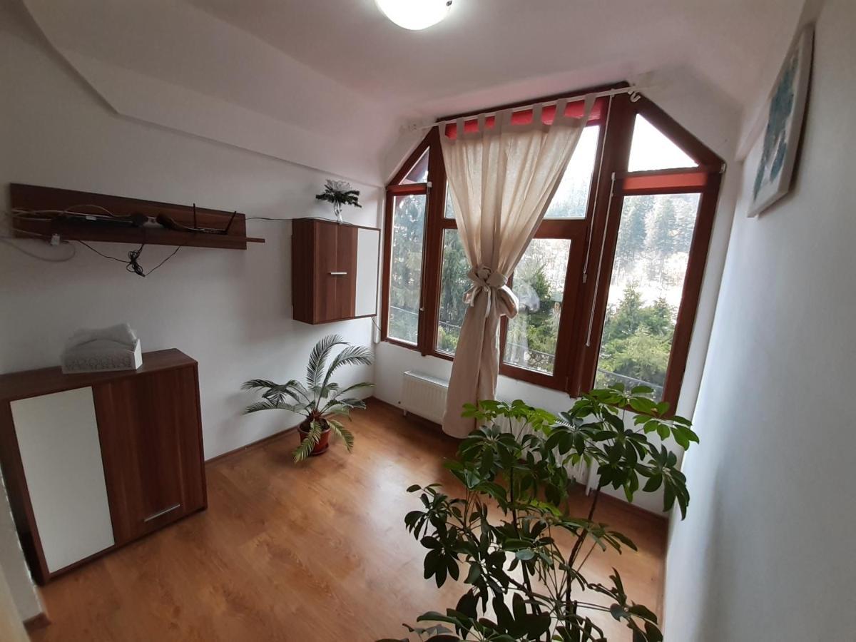 Casa Olguta Leilighet Sinaia Eksteriør bilde