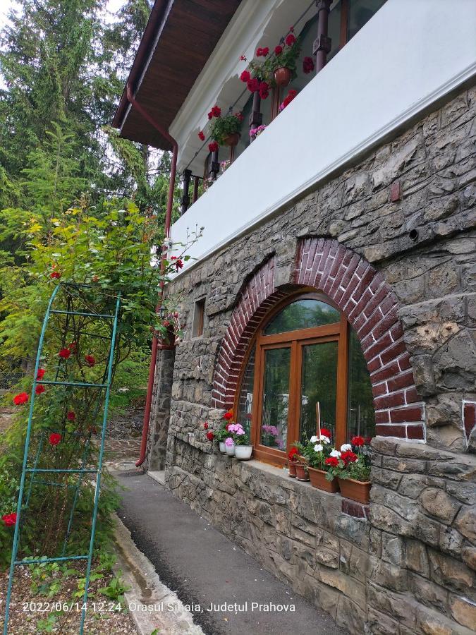 Casa Olguta Leilighet Sinaia Eksteriør bilde