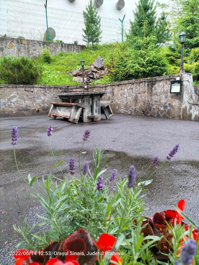 Casa Olguta Leilighet Sinaia Eksteriør bilde