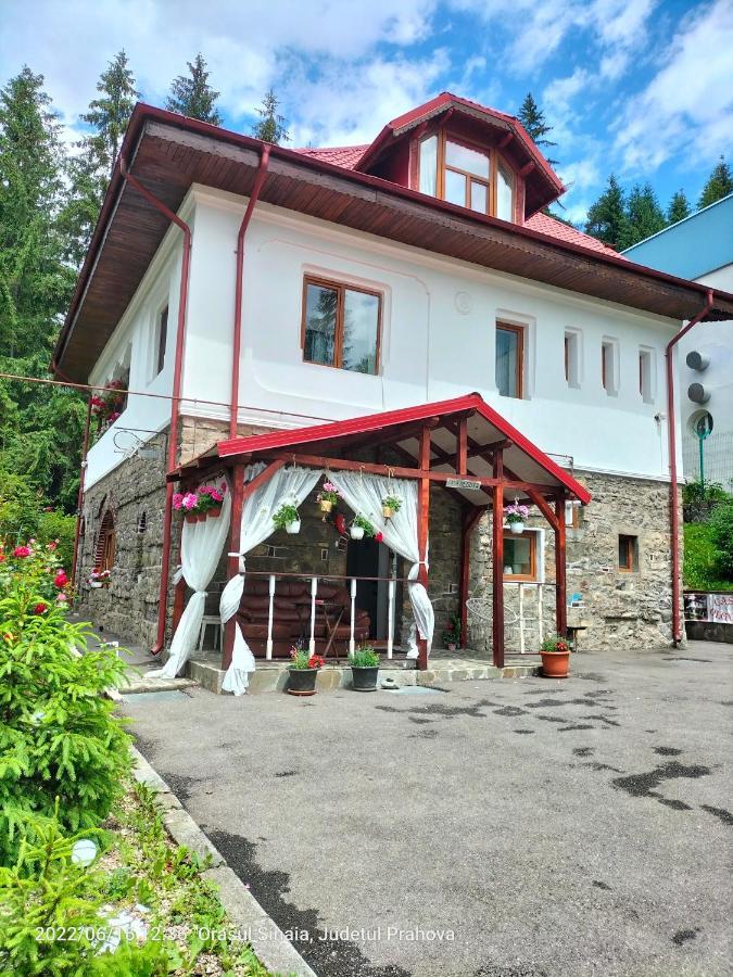 Casa Olguta Leilighet Sinaia Eksteriør bilde