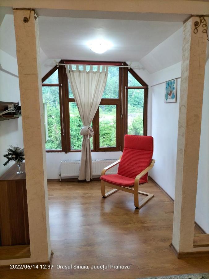 Casa Olguta Leilighet Sinaia Eksteriør bilde