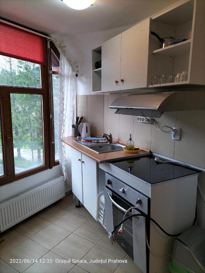 Casa Olguta Leilighet Sinaia Eksteriør bilde