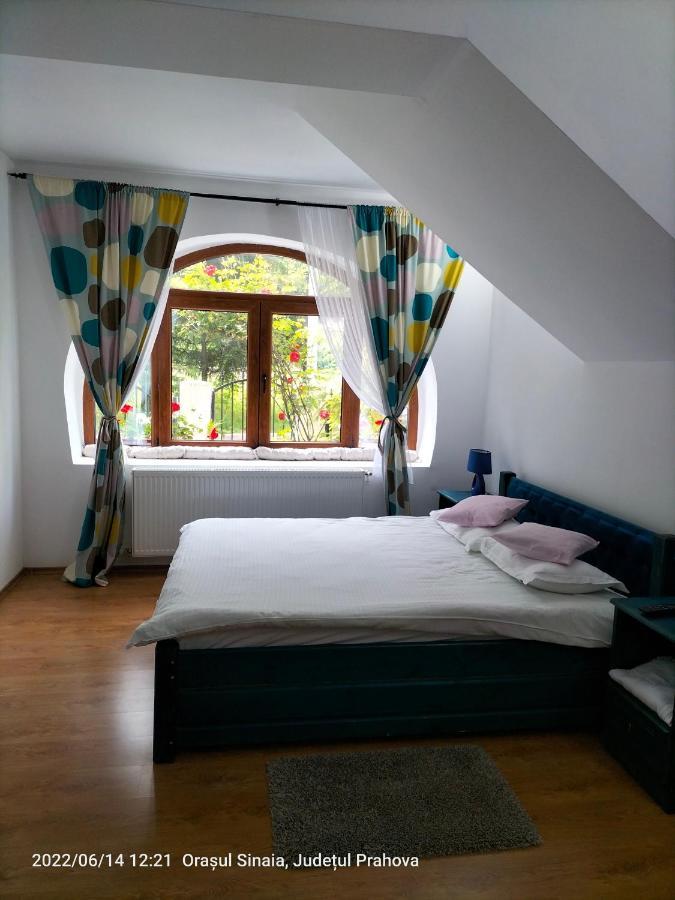 Casa Olguta Leilighet Sinaia Eksteriør bilde