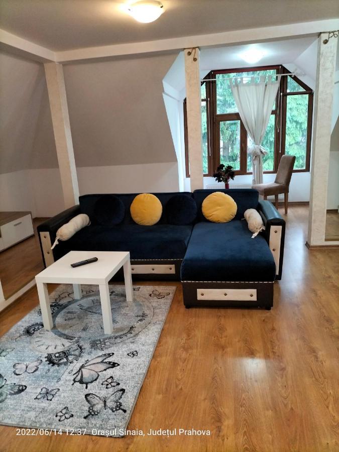 Casa Olguta Leilighet Sinaia Eksteriør bilde