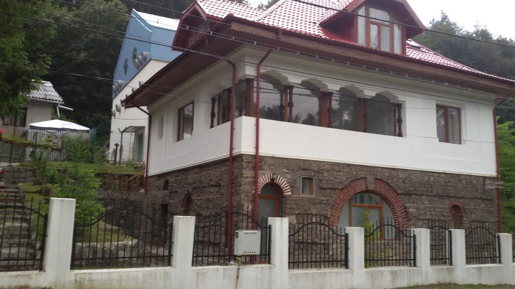 Casa Olguta Leilighet Sinaia Eksteriør bilde