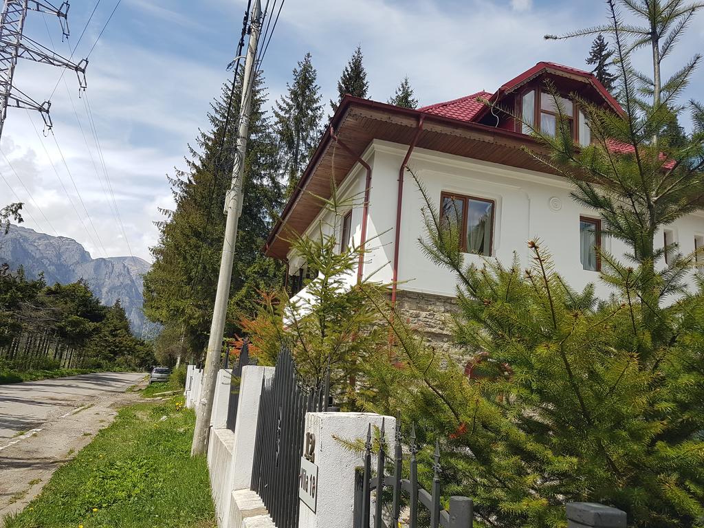 Casa Olguta Leilighet Sinaia Eksteriør bilde